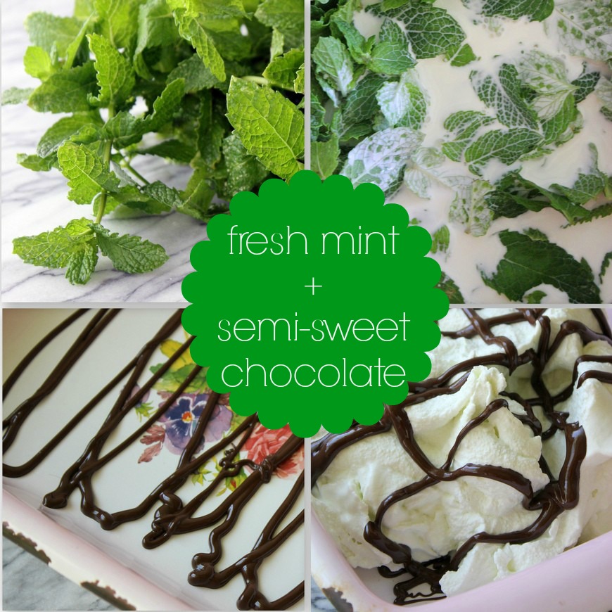 mint chip ice cream collage