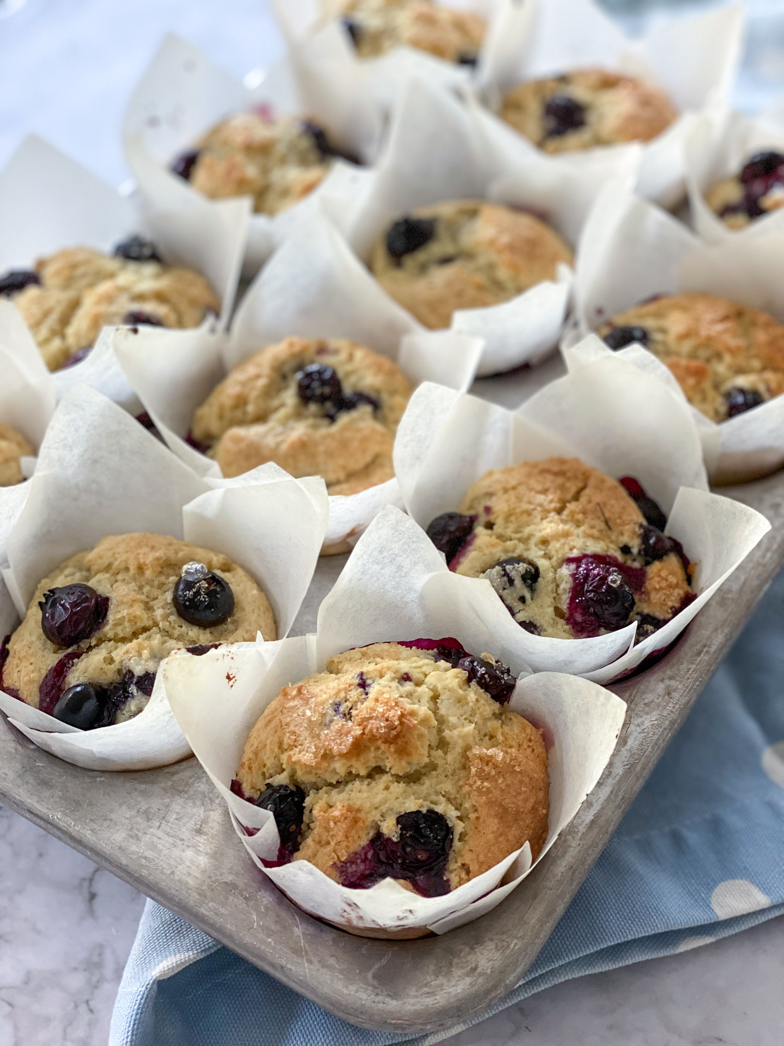 Best Gluten-Free Blueberry Muffins