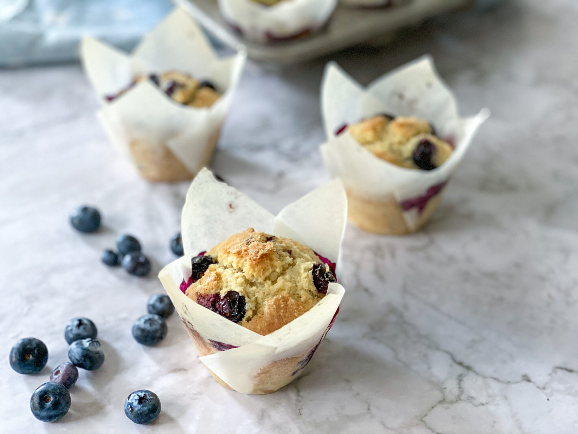 Best Gluten-Free Blueberry Muffins