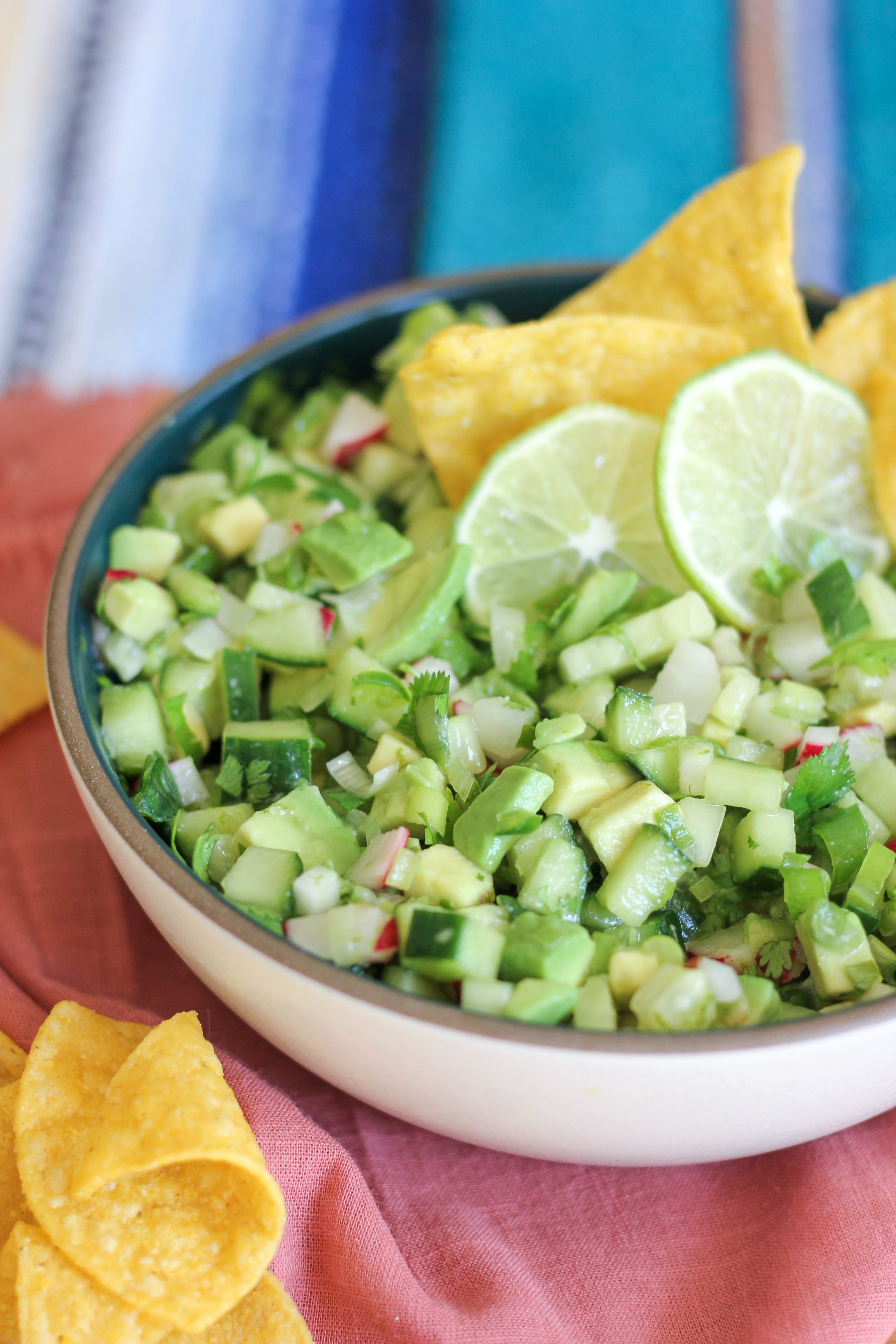 Radish Cucumber Avocado Salsa