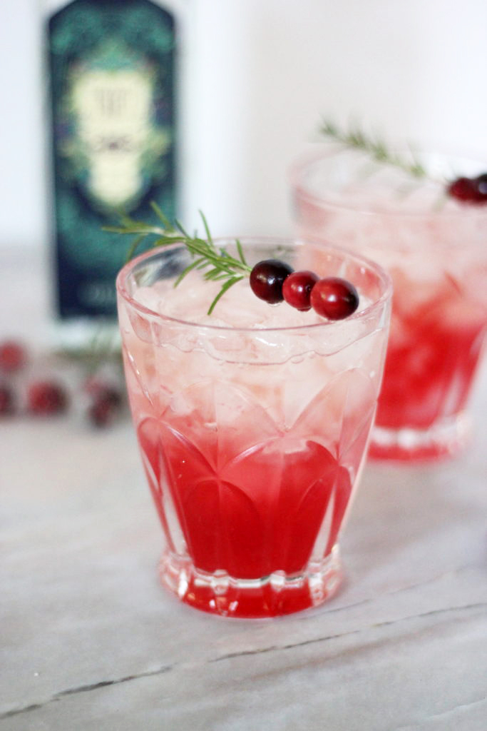 Garnet Cranberry Gin Slush